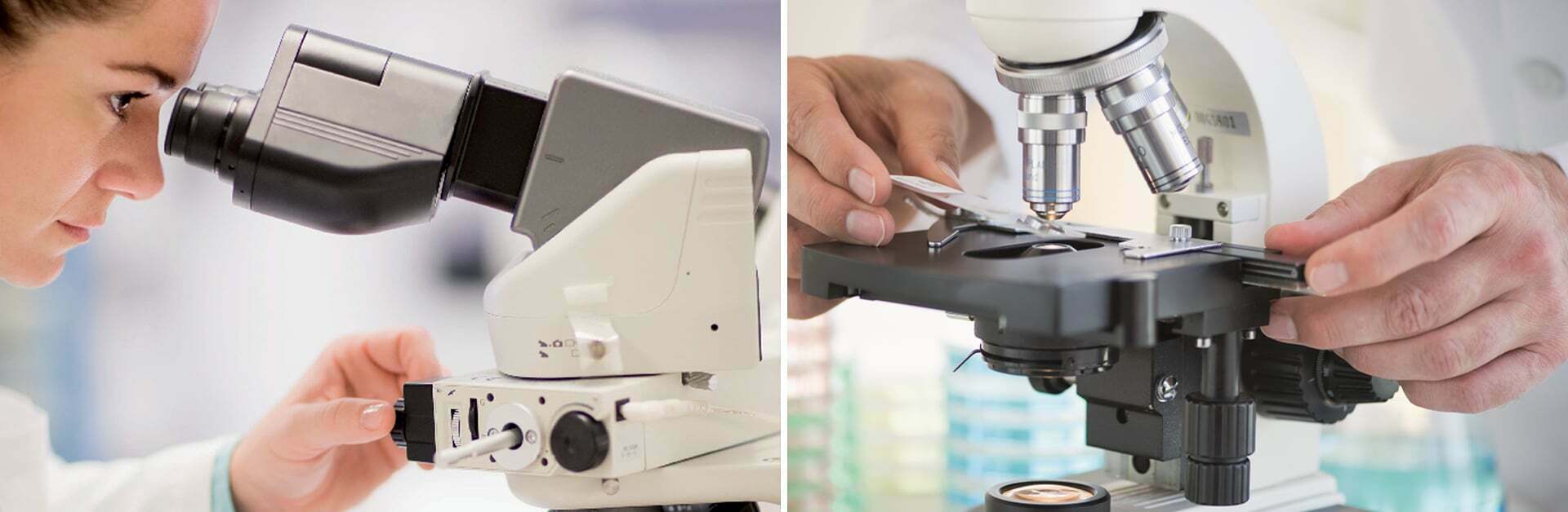 medical microscopes used